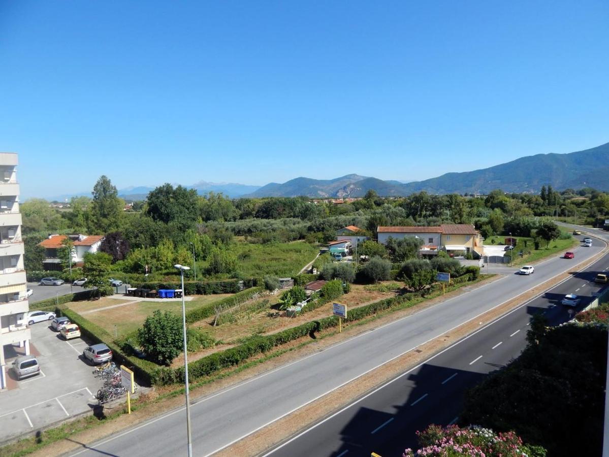 B&B L'Orchidea Pisa Buitenkant foto