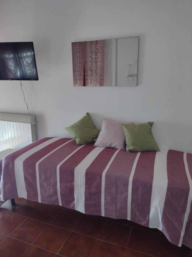 B&B L'Orchidea Pisa Buitenkant foto