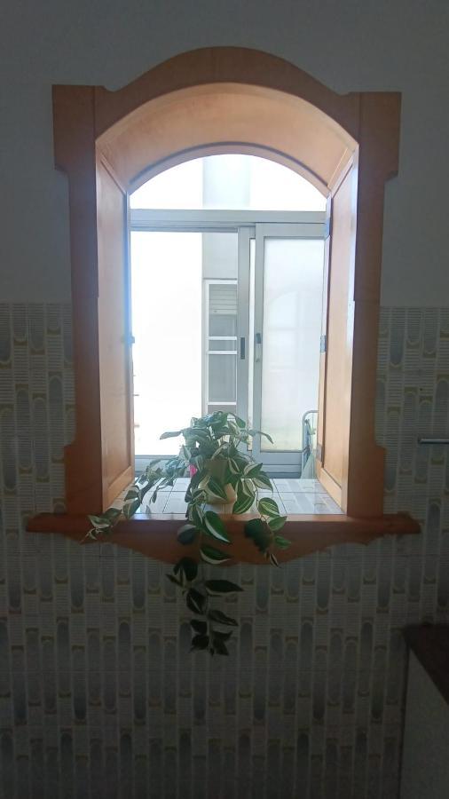 B&B L'Orchidea Pisa Buitenkant foto