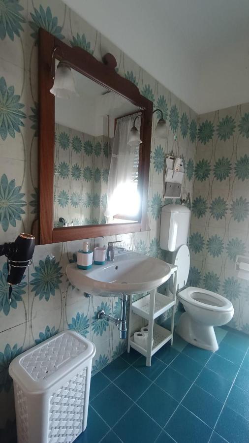 B&B L'Orchidea Pisa Buitenkant foto