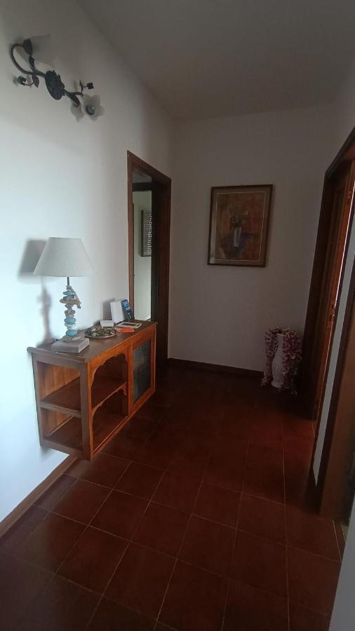 B&B L'Orchidea Pisa Buitenkant foto